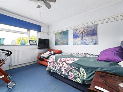 Picture 15